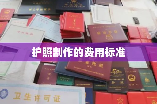 芦洲护照制作的费用标准